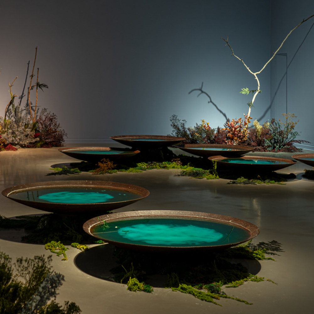 02. La Casa Encendida BiancaBond
