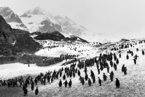 Aqua Mater: la exposición de Sebastião Salgado que invita a redescubrir la belleza y la fragilidad del agua en Madrid 5 091112 07 06668 24x36 1