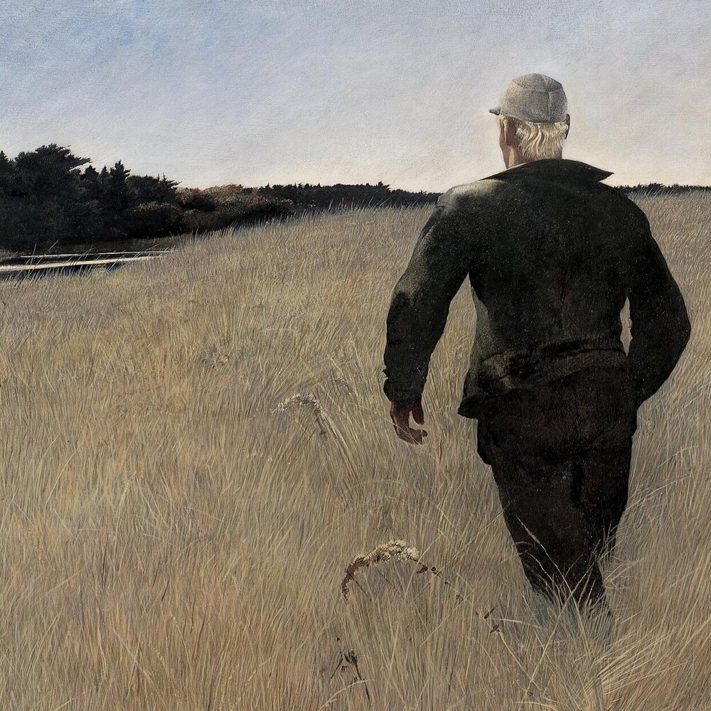Novela Lord Jim en casa, Turkey Pond (1944), Andrew Wyeth