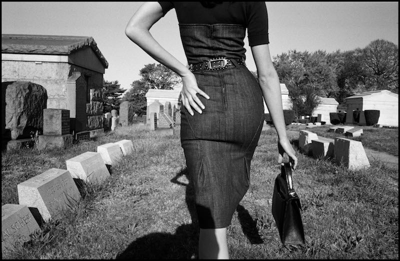 Fotoperiodsimo de Magnum