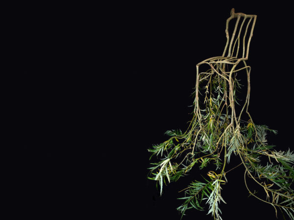 2018 Fg Raw Chair with leaves cropped copy Photo by Gavin Repton for Full Grown Ltd e1664894954473