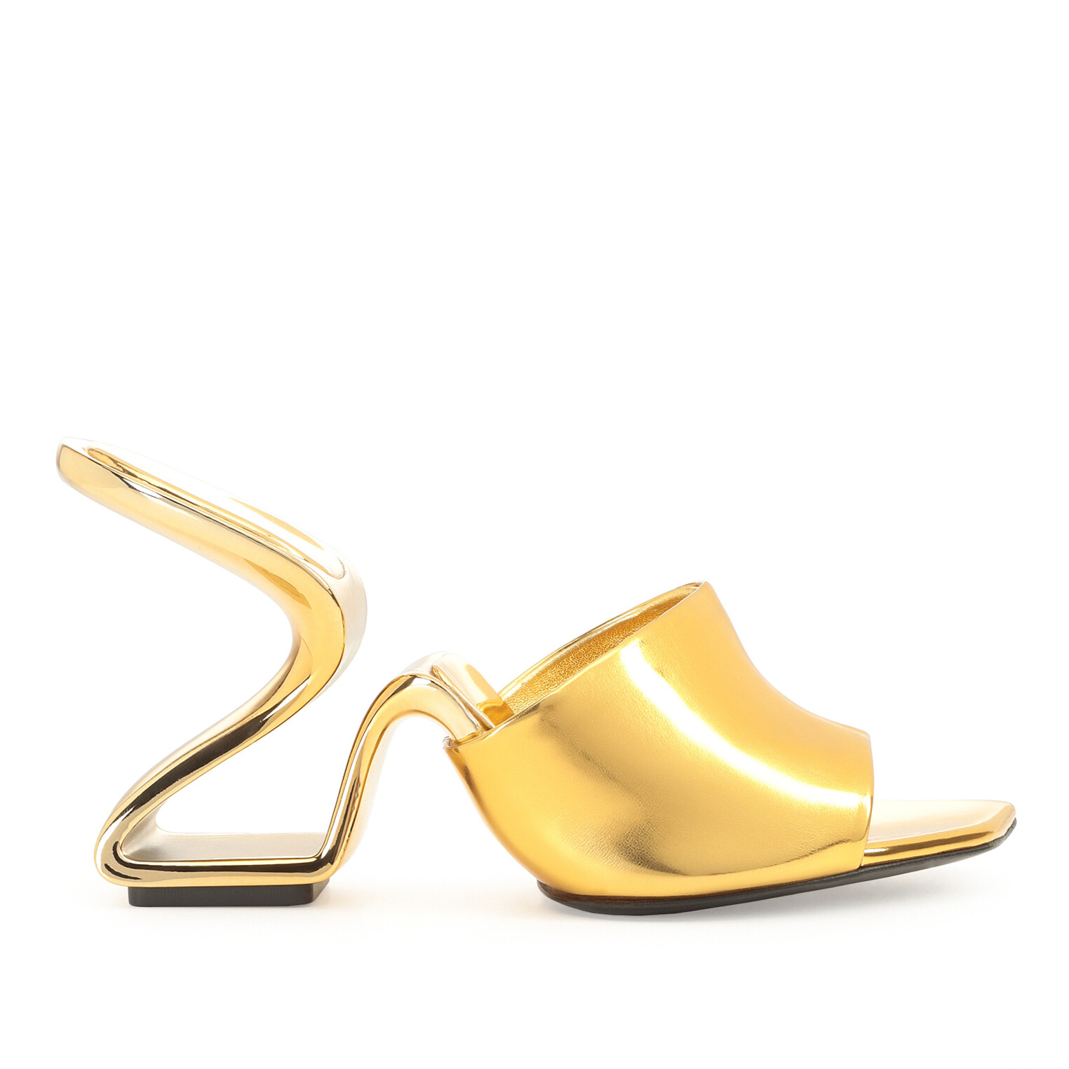 Sinuous shoe Sergio Rossi
