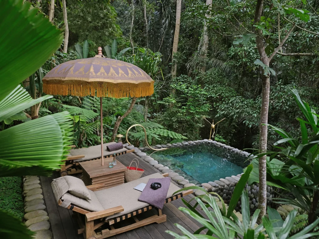 87869 root rainforest private pool