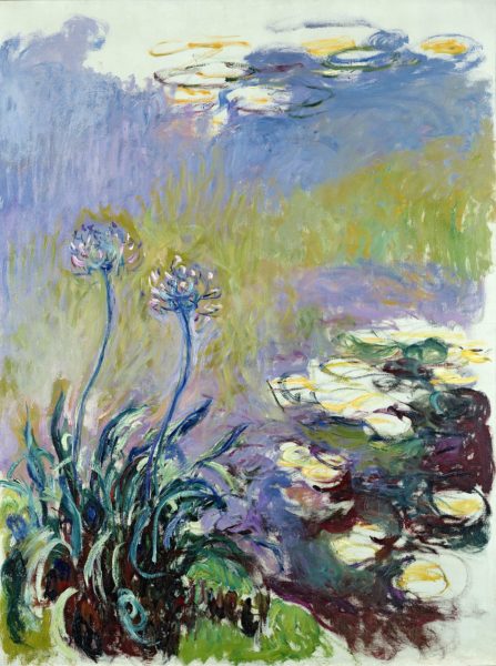 Les Agapanthus de Claude Monet