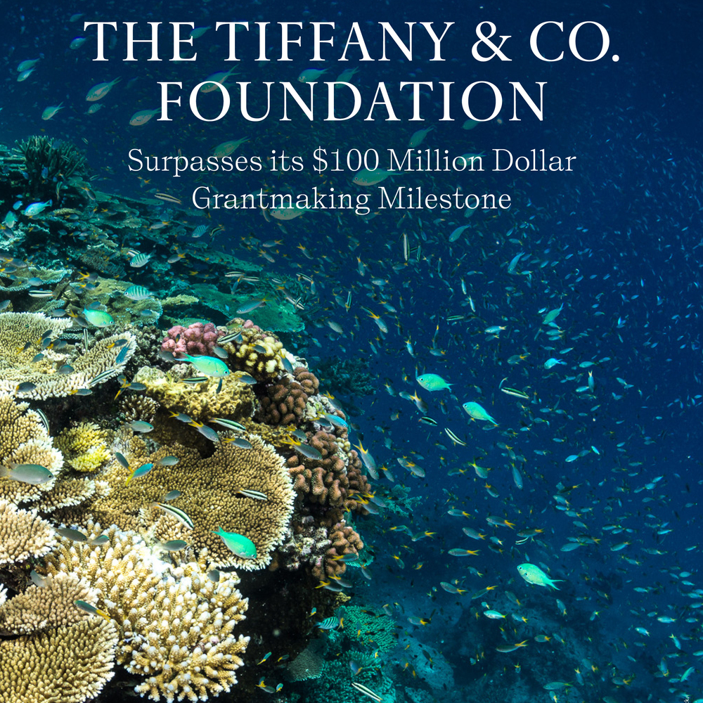 Fundación Tiffany & Co