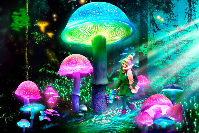 El Jardín Botánico vuelve a iluminar Madrid