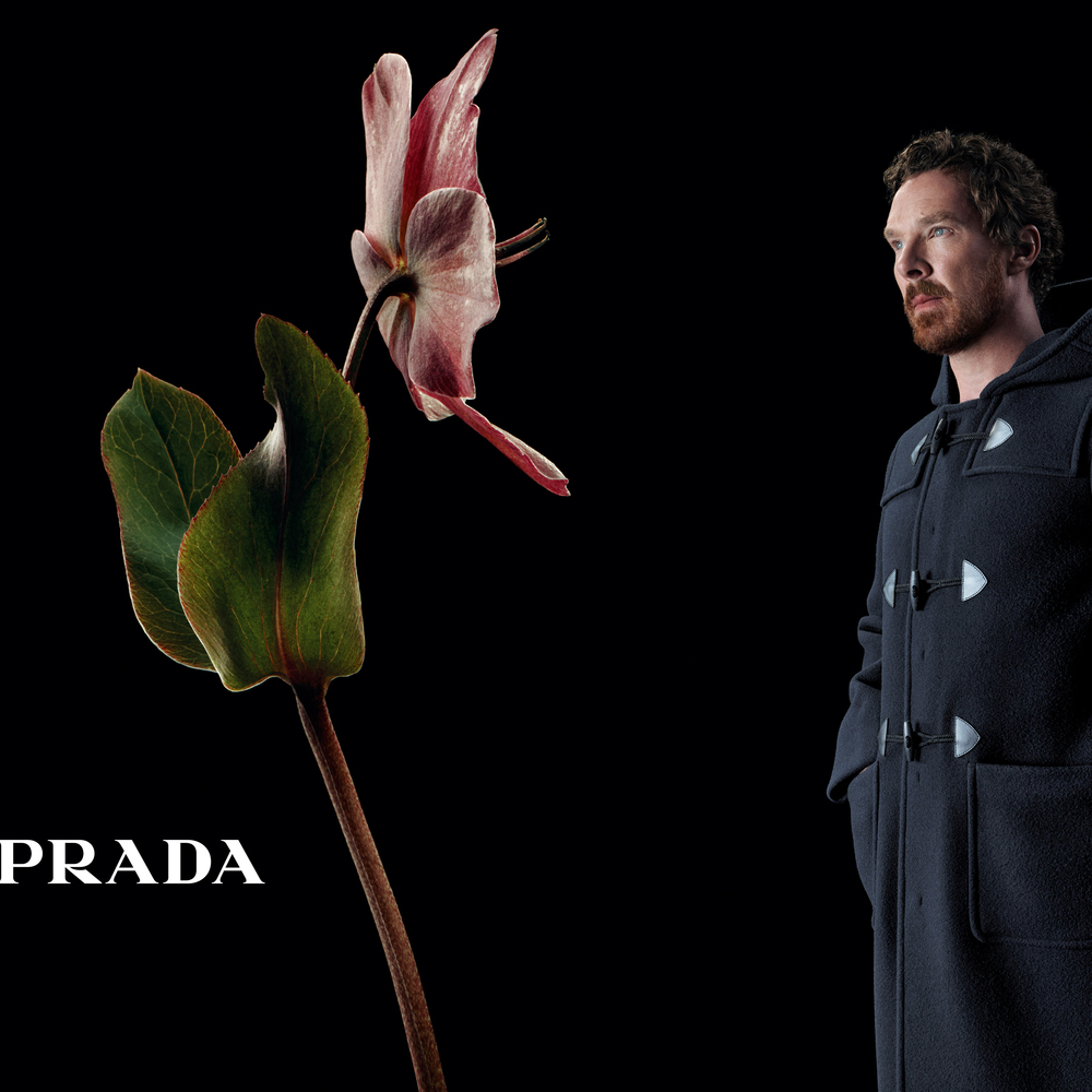 Campaña