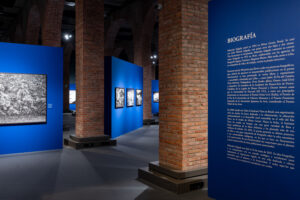 Aqua Mater: la exposición de Sebastião Salgado que invita a redescubrir la belleza y la fragilidad del agua en Madrid 7 Sebastiao Salgado Aqua Mater Fundacion Canal JOR9227 1