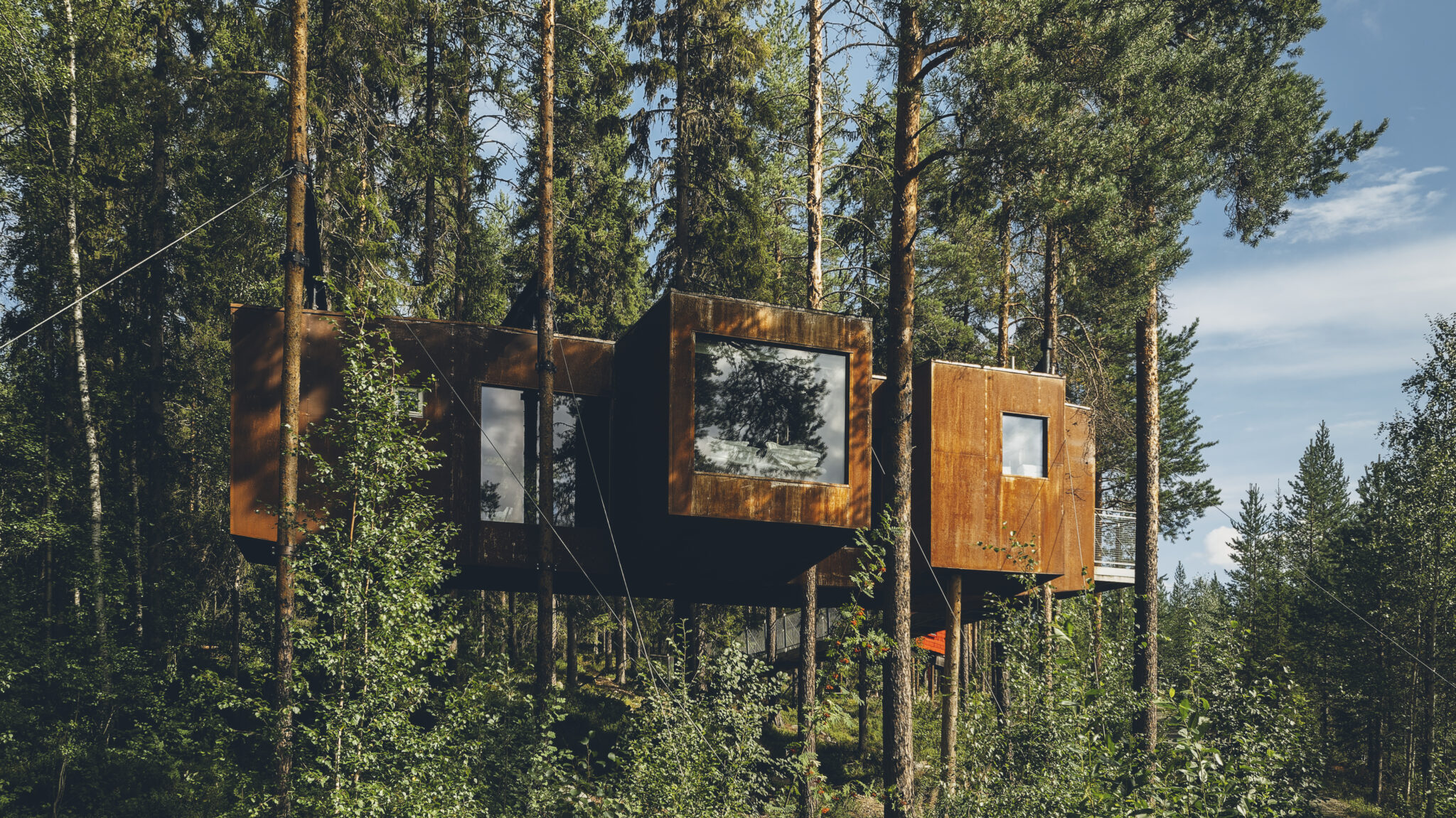 Treehotel: cuando el bosque es el lujo