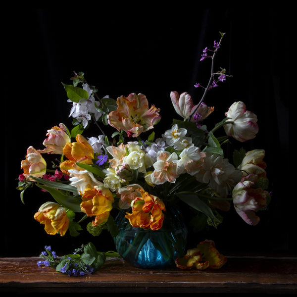 Vanitas con Tulipanes naranjas - Omnia Vanitas