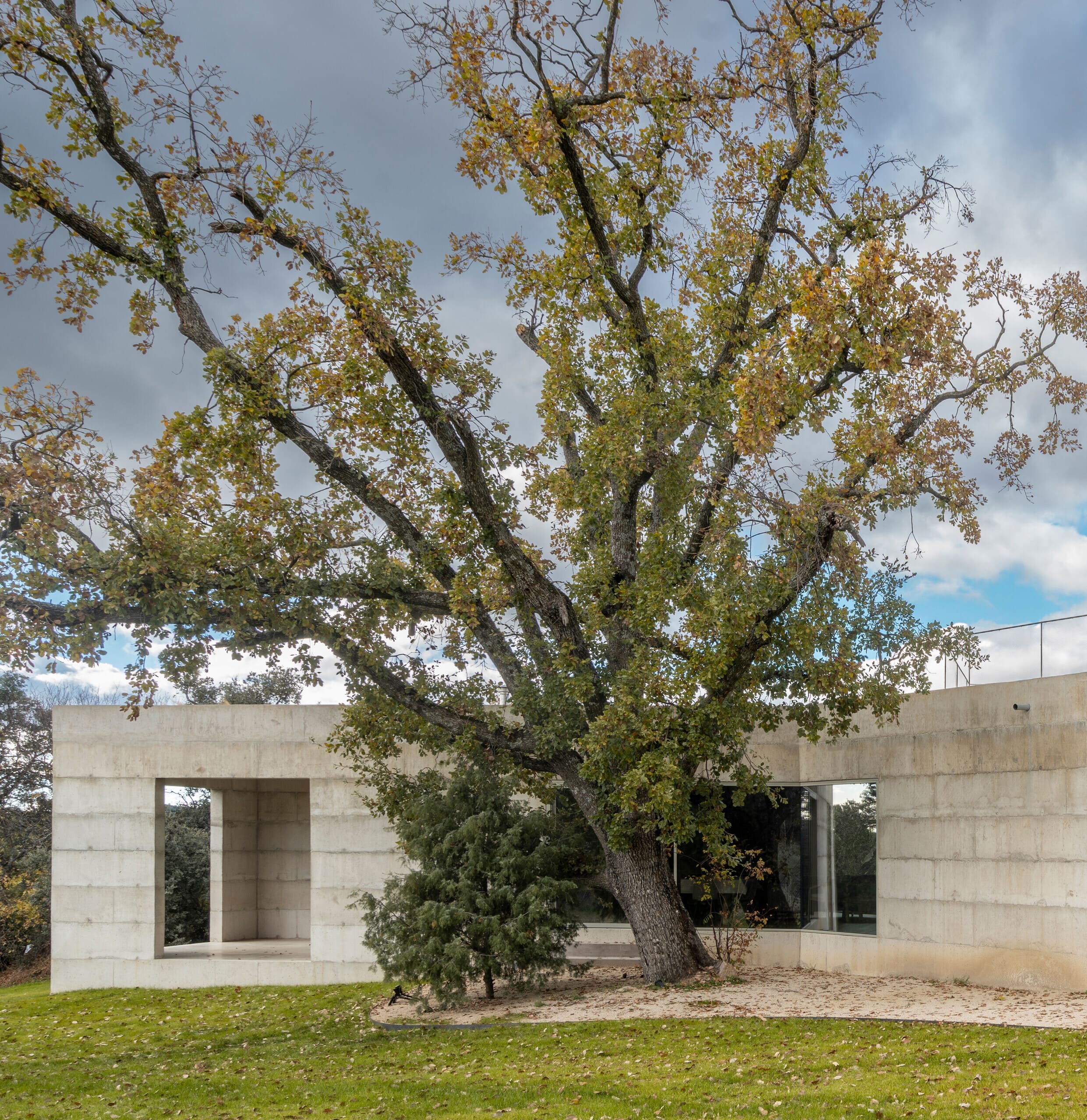 bojaus arquitectura house x luis asin 24