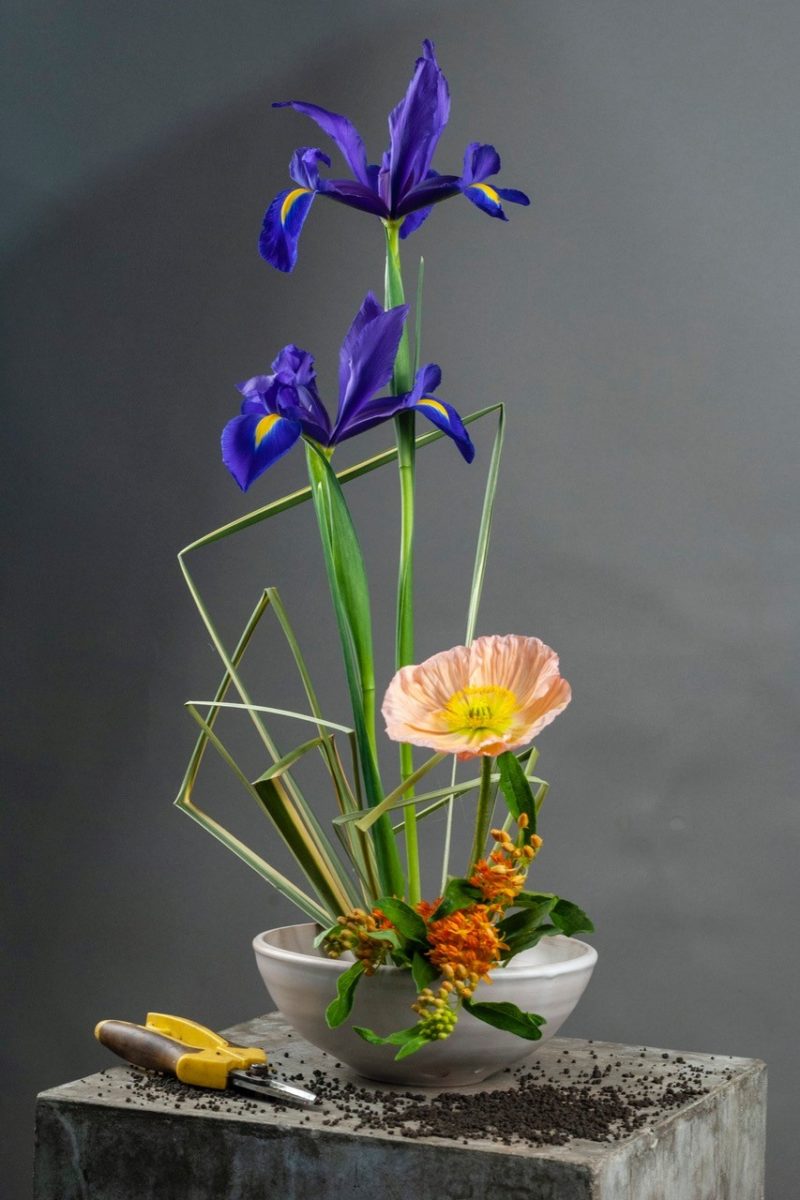 ikebana 5 e1654184286968