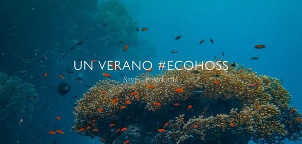 posidonia