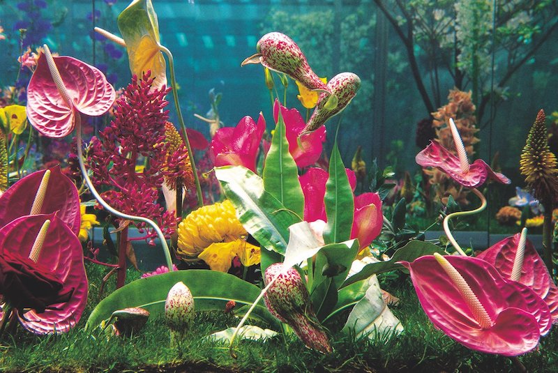 libro flowers martin