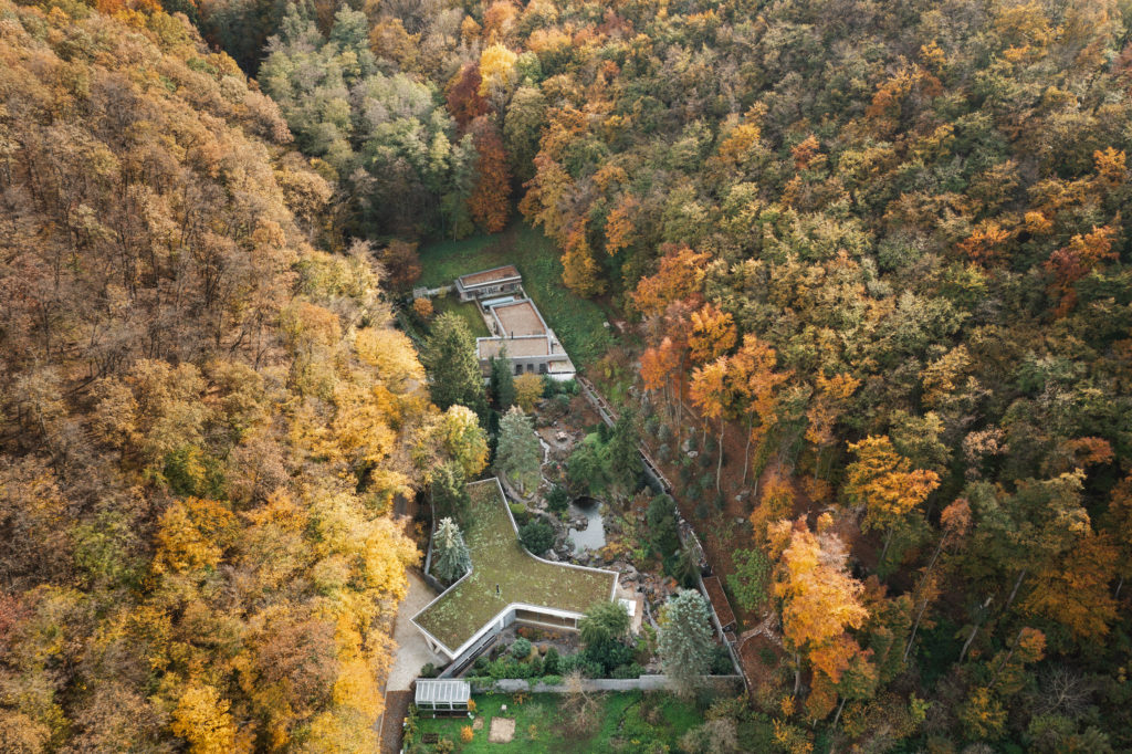 pha bananka house matej hakar 01
