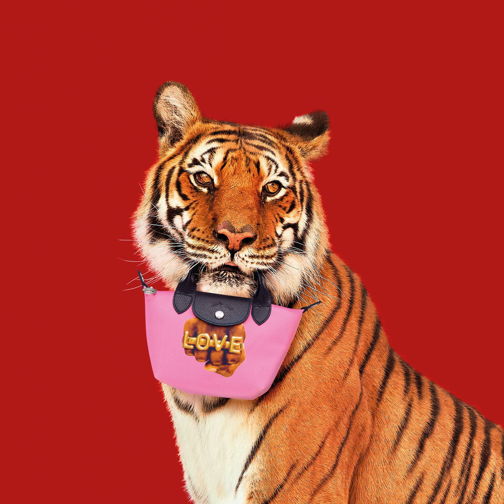 TOILETPAPER