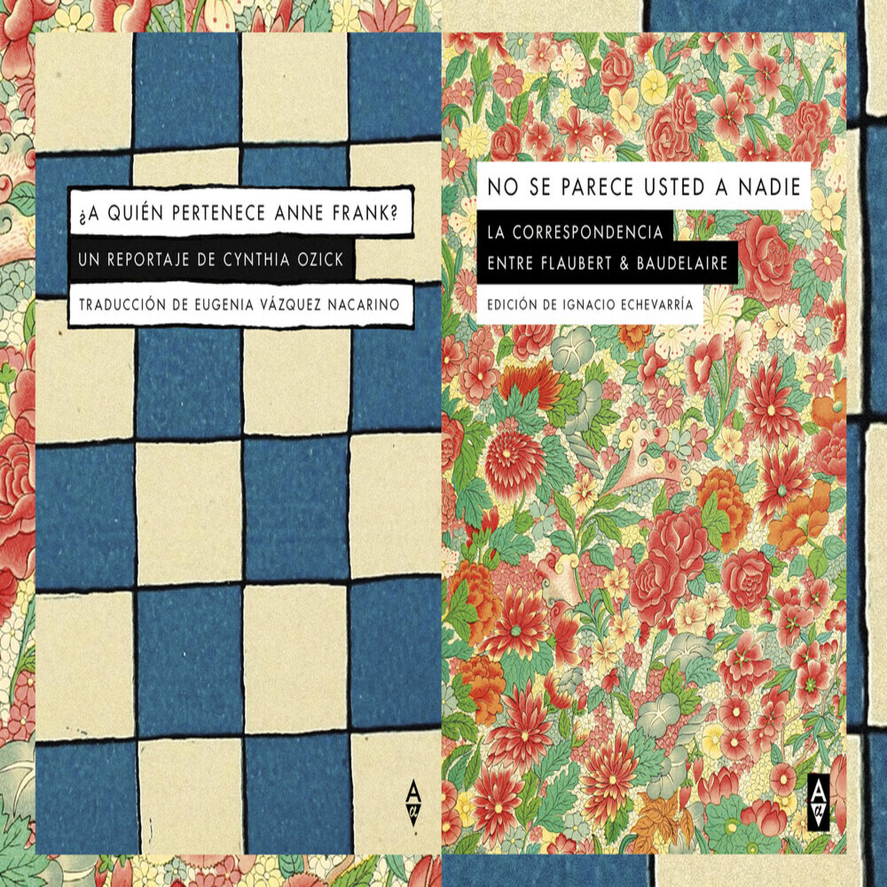 Flaubert & Baudela, Cynthia Ozickire