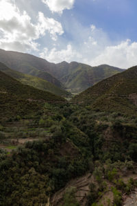 ysl beauty rewild our earth morocco landscape saad alami 2 scaled e1680622512703